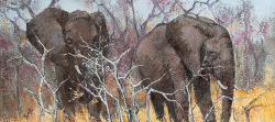 Elephants II - Kruger Park | 2019 | Oil on Canvas | 36 x 51 cm